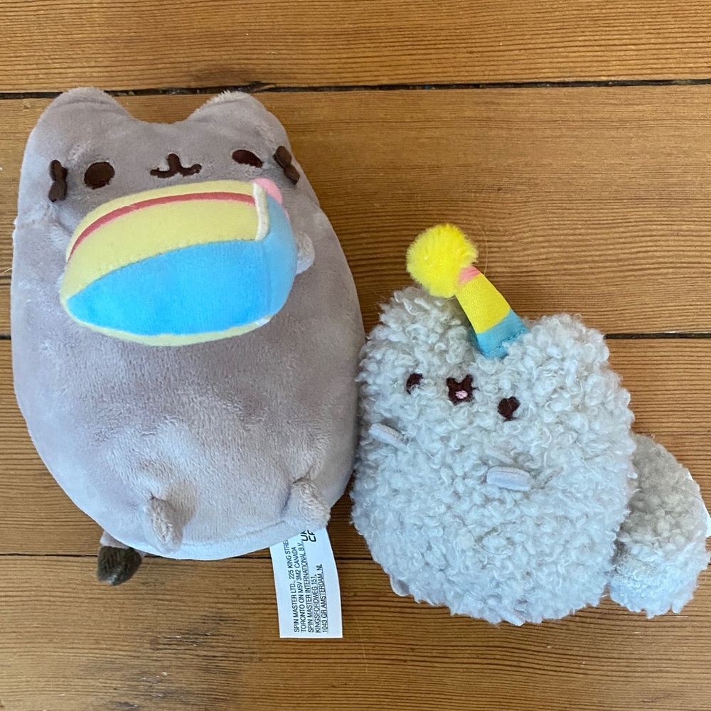 Pusheen & Stormy birthday stuffies